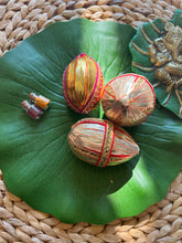 Load image into Gallery viewer, Gota wrapped Coconut for Shagun and Thamboolam
