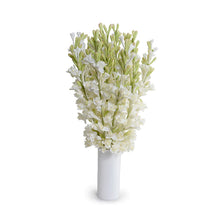 Load image into Gallery viewer, Realistic Silk Tuberose- 2 stems
